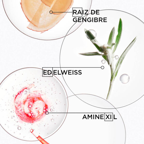 KERASTASE  GENESIS       SHAM 250ML